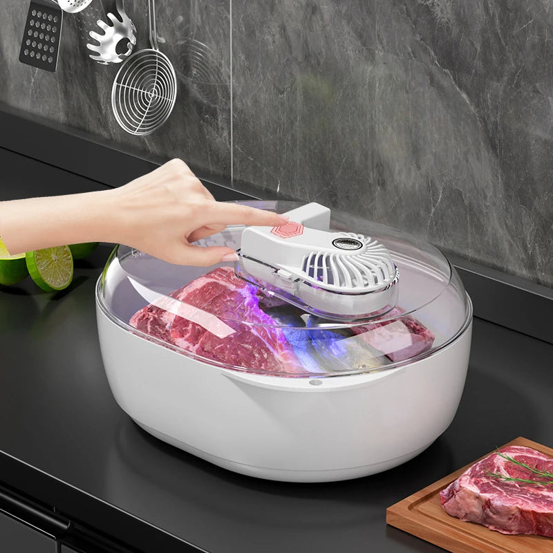 Frozen Meat Thawer Machine Ultrasonic Atomization 6 in 1thawing Machine Food-Grade Material Pet USB Charging Defrosting Thawing